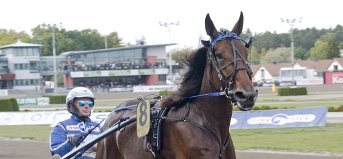 ”Borde leda från start till mål”