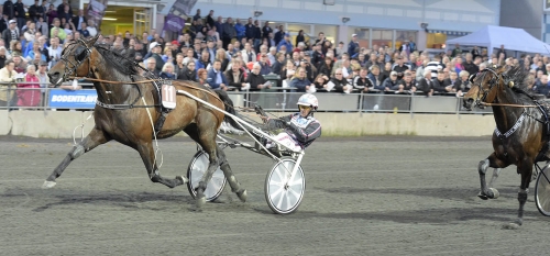 V75: Djuse på väg mot rekordsäsong