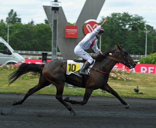 Grym uppvisning av Draft Life