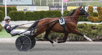 Starka spikar i jackpotjakt