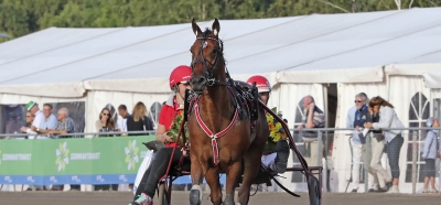 Untersteiners flygmaskin