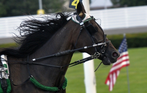 Jl Cruze skrällvann