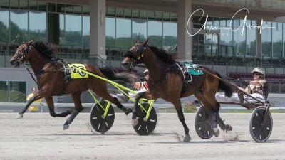 Dave Palone till 18.000