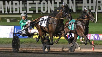 Jimmy Takter dominerade