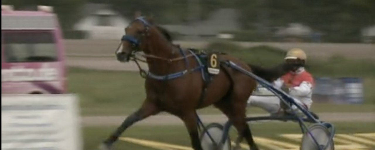 Cash Hanover är klar för start i Copenhagen Cup. Foto: hvtonline.de