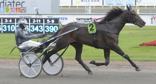 E3-vinnare Timbal slutar tävla