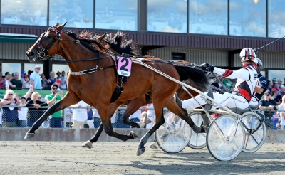 Från hopp till förtvivlan till vinst