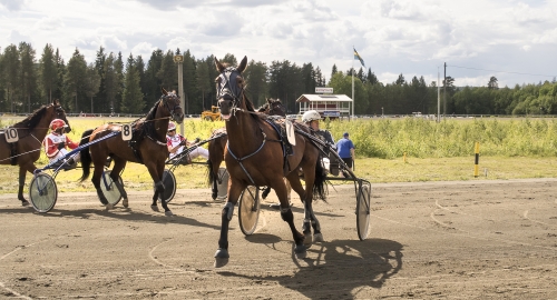 Borell: Travets bästa tid är nu