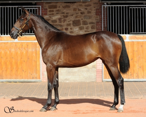 Rekordston under klubban