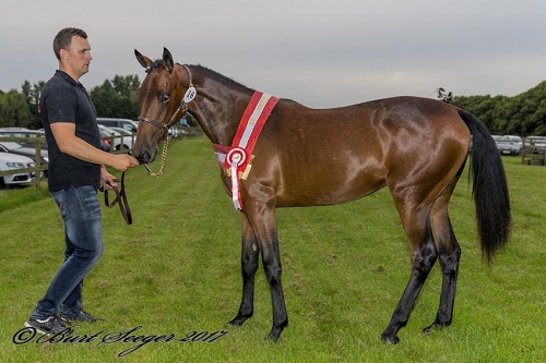 Rekordpris i Danmark
