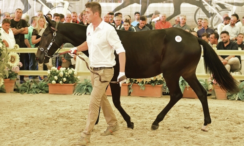 Rekordköp av Liljendahl