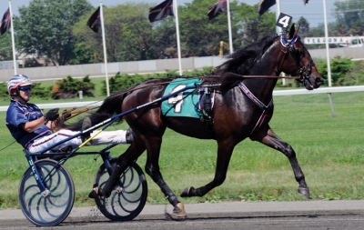 Lillasyster kan också