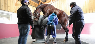 Ston utomlands räddar statistiken