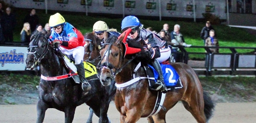 Bäst igår – kallblodsfest