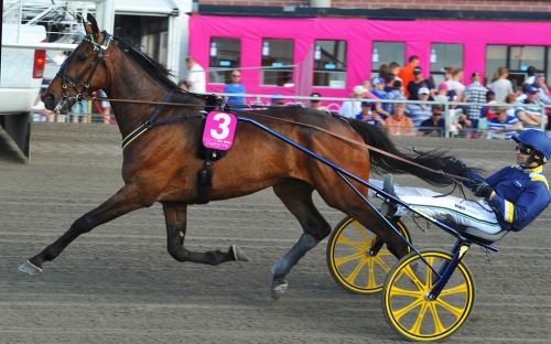 Digital Ink mot start