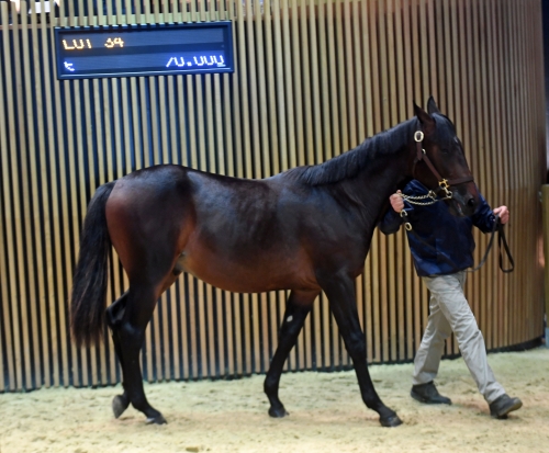 Goop handlade i Deauville