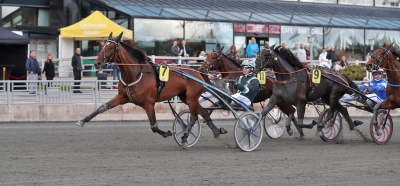 Så växer fältet fram