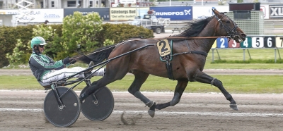 Sprintermästar-trea blir avelshingst