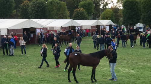 En auktion utan framtidstro