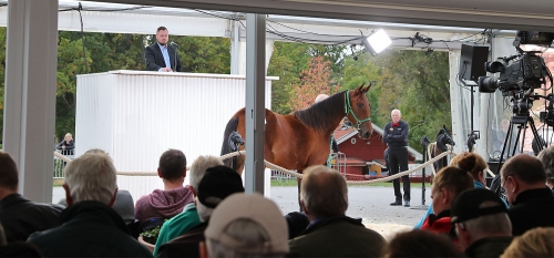 Nya rekordsiffror i år?