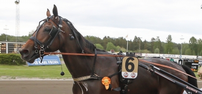 Toppchans för bortglömd