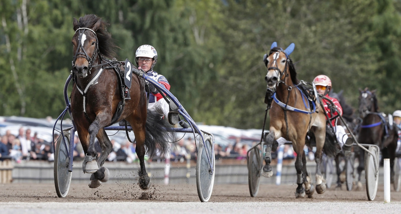 Myrs Hera med Ulf Eriksson vid segern i Kriteriestoet 2017. Foto Micke Gustafsson/ALN