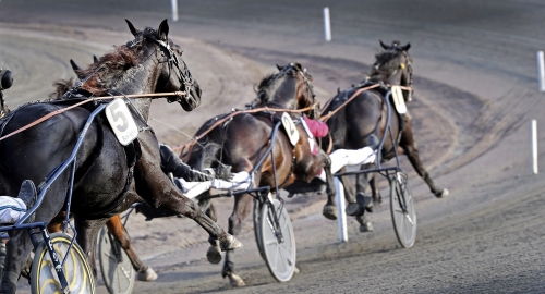 Ström: ”Det körs för många lopp och tävlingsdagar”