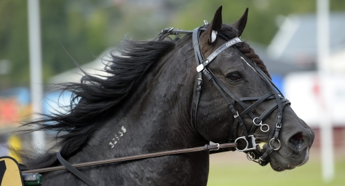 Bäst igår – Både varmt och kallt dubblade