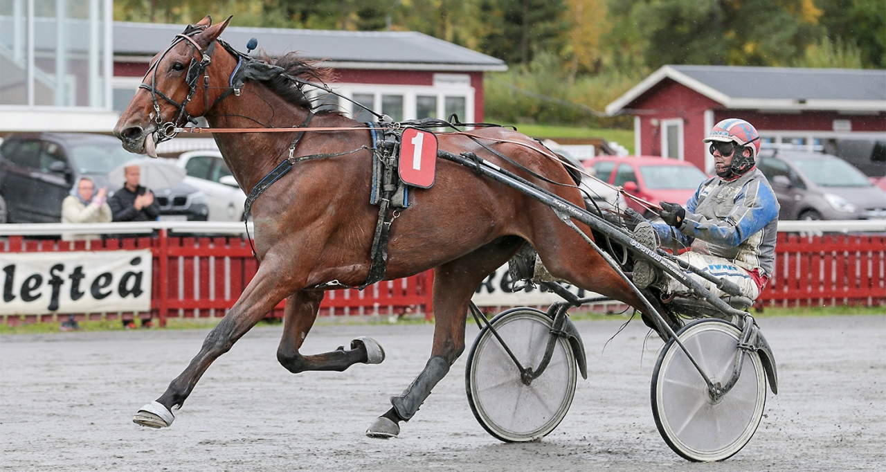 Raz Mackenzie var en av Love Yous tre vinnare under tisdagen. Foto Ola Westerberg/ALN