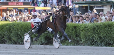Ny start för Derbyvinnaren
