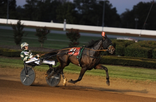 Takter-tvååringar glänste