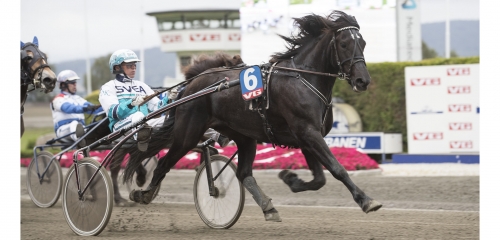 Hemmabygget är redo