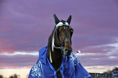 Halsproblem för Candy La Marc
