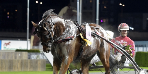 Derbyvinnare med mersmak