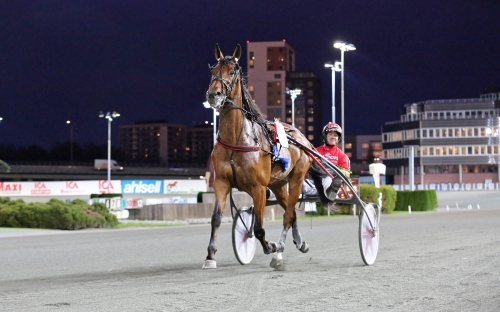 Här startar Cyber Lane