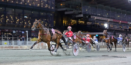 21-25 april: Från V75 till V86