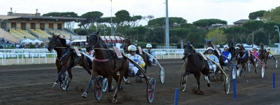 Svensklöst i italiensk klassiker