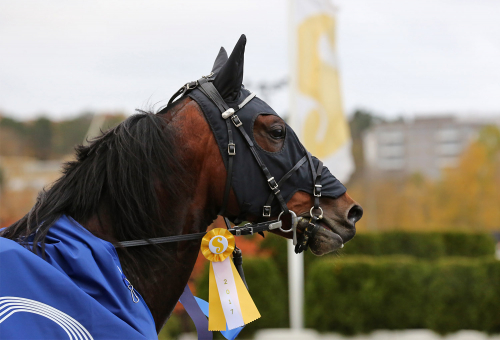 Lekstuga för Diamanten