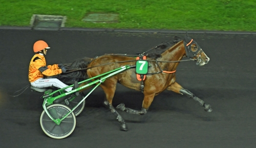 Frankrikes bästa tvååring?