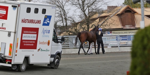 Häst fastnade på staket