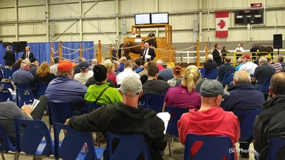 Norrman köpte dyrast