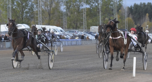 Tolv siktar mot stjärnorna