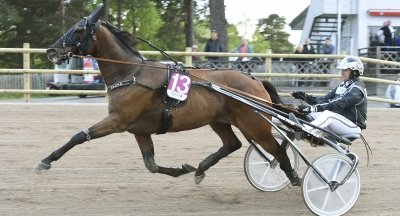 Bäst igår – Elitloppsvinnare snabbast