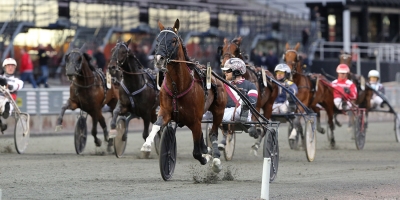 Rajesh stannar hemma