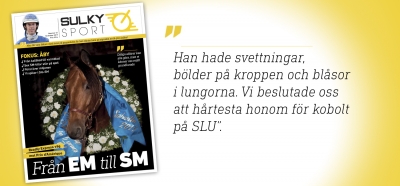 Sulkysport nummer 31