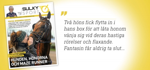 Sulkysport nummer 33