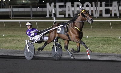 What the Hill betäckte 105 ston