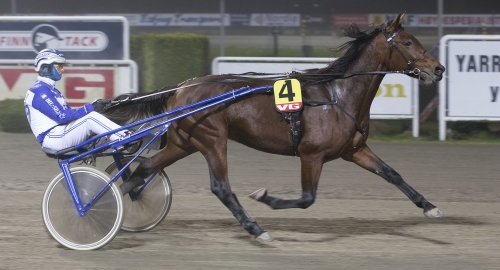 Norsk tvååring till Vincennes?