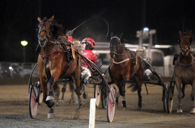 Kulltoppar i nytt drömmöte