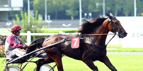 Fotbollsstjärnan Griezmann ny i travet